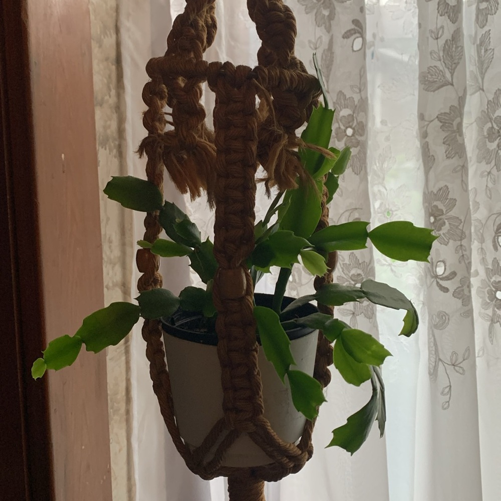 Boho Macramé Plant Holder Handmade Craft Brown Wooden Beads Porch Herb Garden - Picture 3 of 10